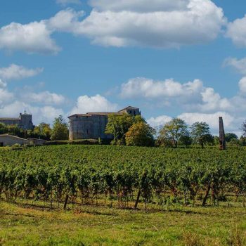 Vue du village de Pujols-sur-Dordogne