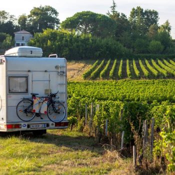 Camping Car Dans Le Vignoble De Nioton